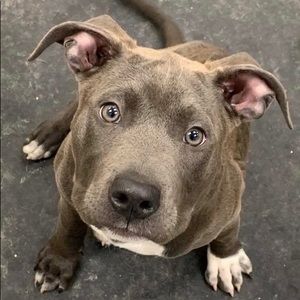 Meet your Posher, Rona